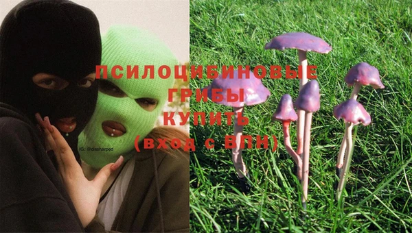 прущие крисы Елизово