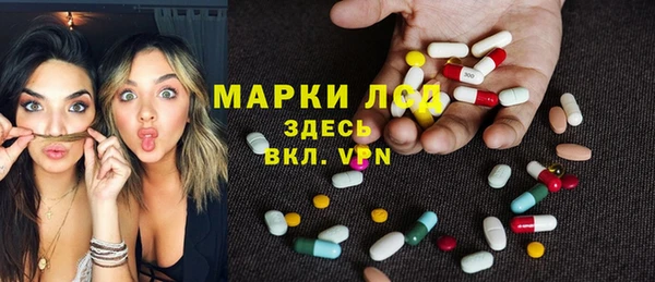 прущие крисы Елизово