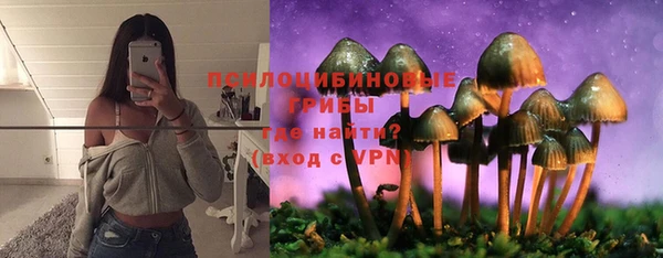 прущие крисы Елизово